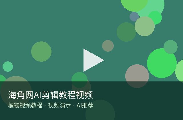 四虎视频