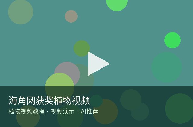 四虎视频